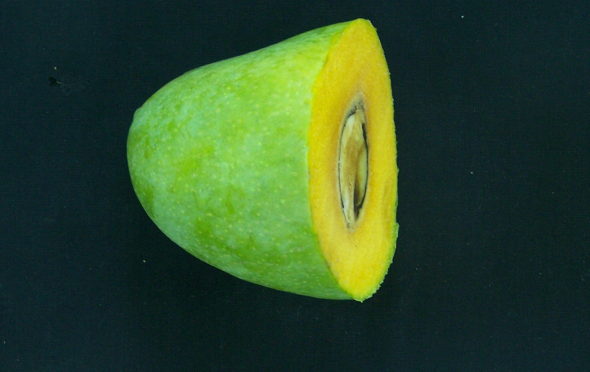 Surkha Burma